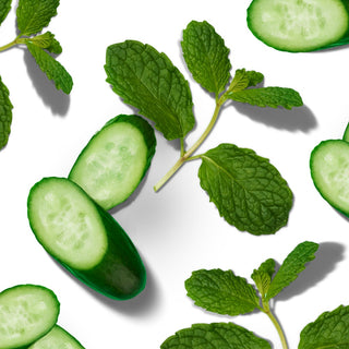 Arrangement of cucumber slices and mint leaves