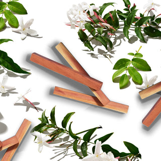 Cedar wood sticks and jasmine flowers